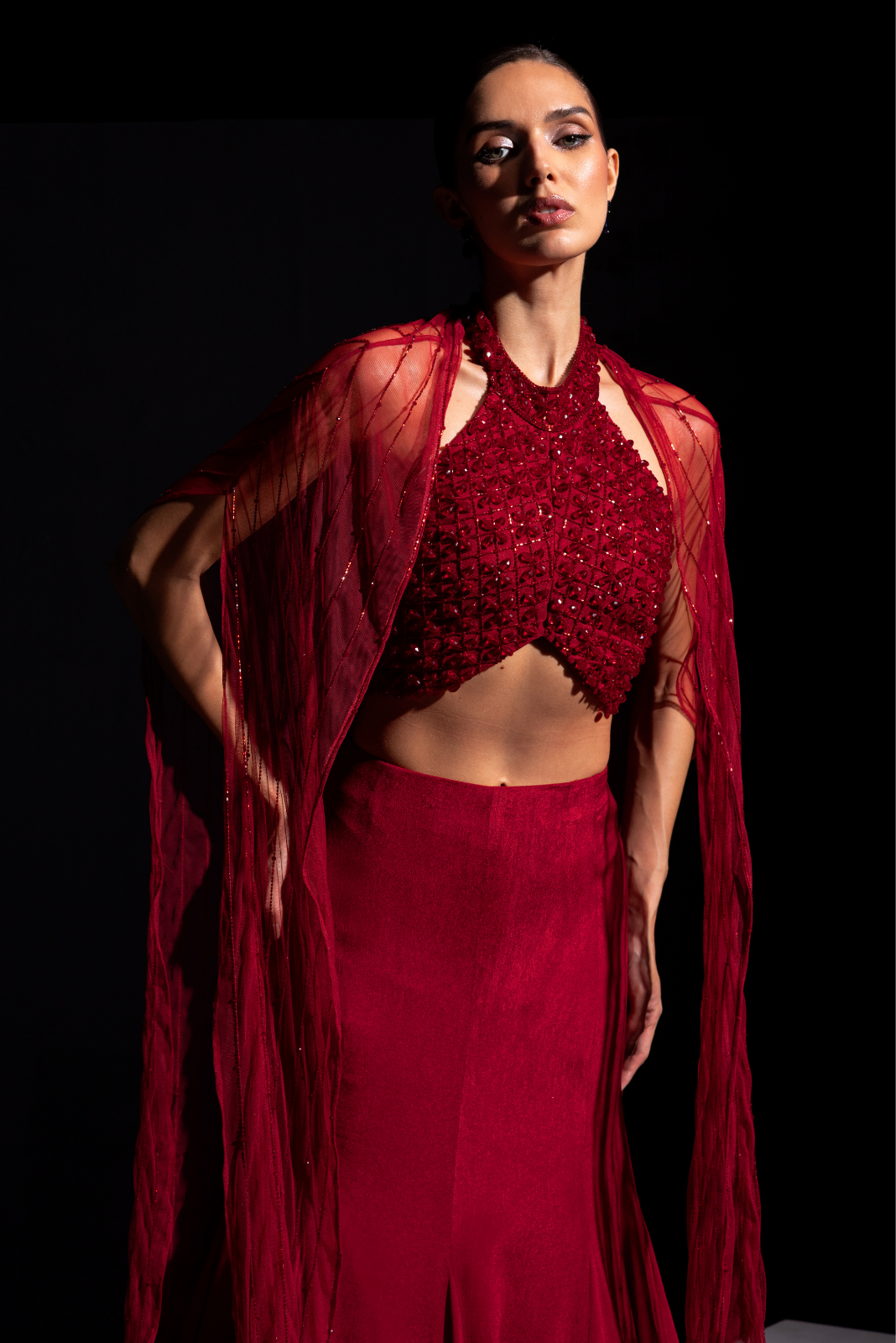 Deep Red Halter Neck Blouse with Fish cut Skirt and Embroidered Cape - Scarlet