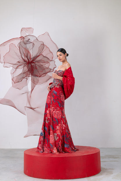 Red Corset with Fish-Cut Skirt and Statement Cape - Jwala