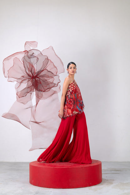 Red One-Shoulder Top with Wide-Legged Palazzo Pants - Dhadak