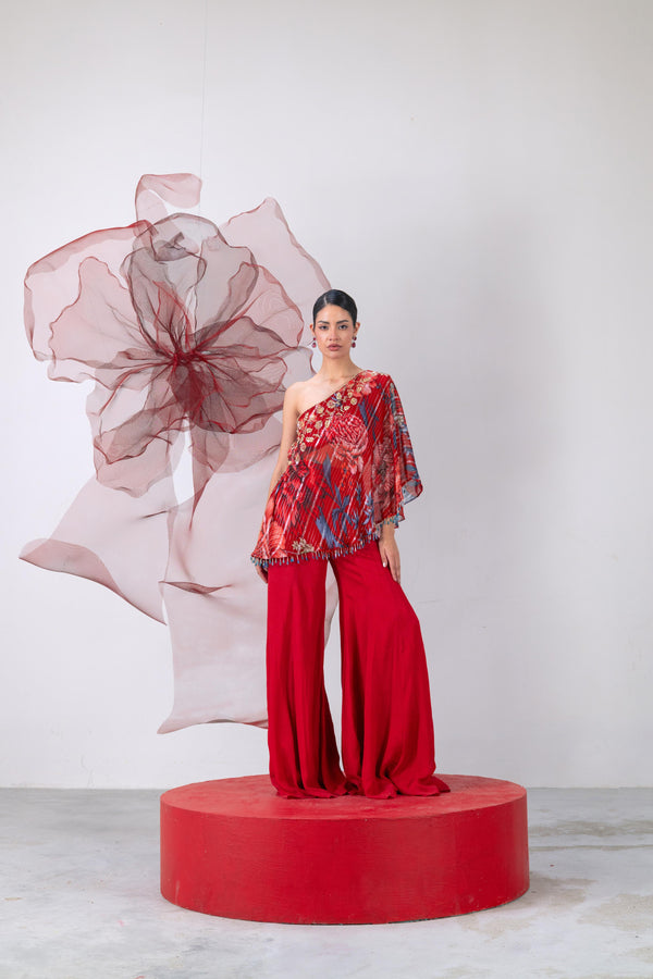 Red One-Shoulder Top with Wide-Legged Palazzo Pants - Dhadak