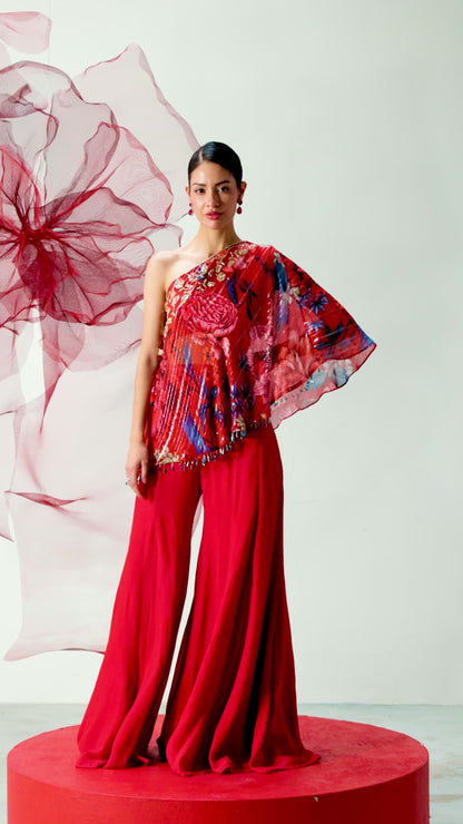 Red One-Shoulder Top with Wide-Legged Palazzo Pants - Dhadak